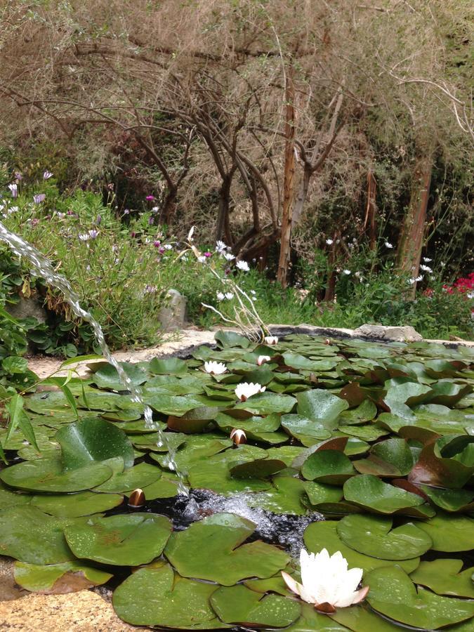 Cabanas El Albaricoque Cochiguaz El Sanjeado Εξωτερικό φωτογραφία