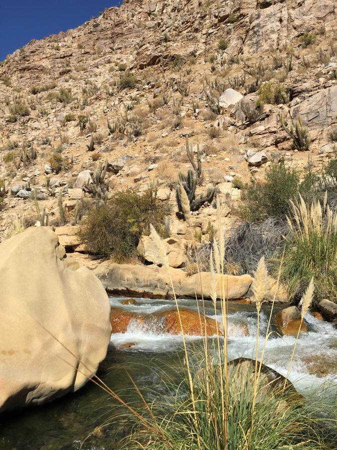 Cabanas El Albaricoque Cochiguaz El Sanjeado Εξωτερικό φωτογραφία