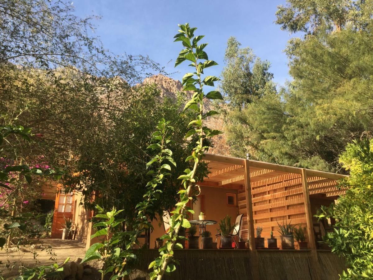 Cabanas El Albaricoque Cochiguaz El Sanjeado Εξωτερικό φωτογραφία